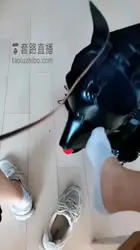 调教狗奴