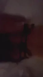 人妻上班期间喊我去她家