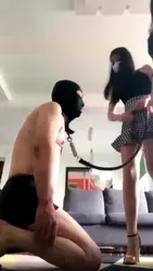 虐贱马桶海量黄金狗