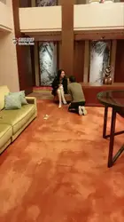 酒店大厅遛狗