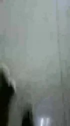 成功开发洗浴中心的小姐姐