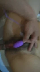 毛毛的菊花