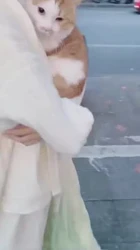 穿汉服见网友