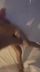 奖励小狗狗