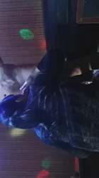 跟着音乐草起来