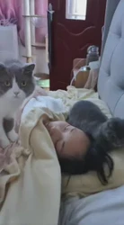 日常更新。