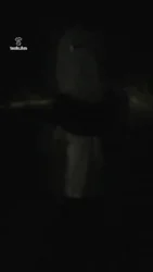 高清 户外直播调教