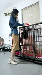 高清 囚禁富二代