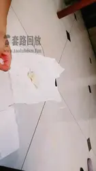 圈养的马桶狗子 又吃又喝