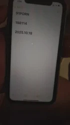 新手验证夫妻