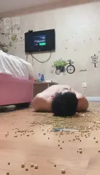 私奴荷兰猪
