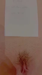 自动审核