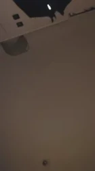02大奶骚女友