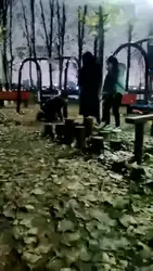 户外双主训狗
