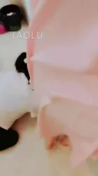 梦幻大大 主人与母狗的日常生活之家奴