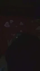 娇妻做爱有对白