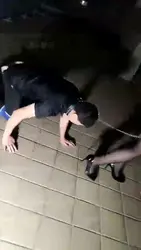 户外遛狗踢裆