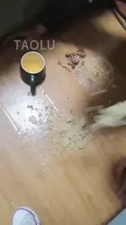 冷欣情侣 帆布鞋 喂食 圣水