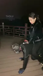 蠢儿教头 户外公园 犬化饲养培养中