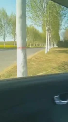 姐姐初冬的口爱