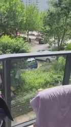 极品美腿人妻空姐漏天阳台露出制服调教（2）