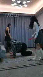 万灵 带狗去串门
