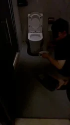 LL77 牛奶圣水让狗喝