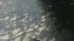 丹夫人母狗做任务