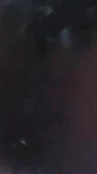 母狗自拍逼