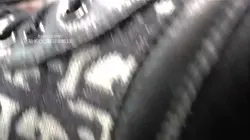 第一人称 舔鞋底 臭袜踩脸