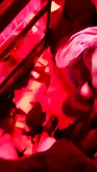 酒吧公调臭弟弟