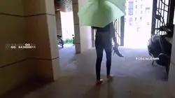失意的都市女员工 上集