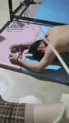 两个圈养狗子