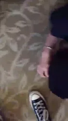 开发新母狗