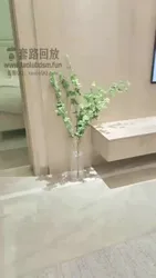 家奴开发