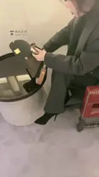 商场遛狗 跪行动物