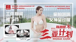 PMD-003.陈圆圆.三亚企划EP02.工作期间被下药.偷拍啪啪女神全过程.蜜桃影像传媒