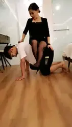 TJ学生狗的减肥计划