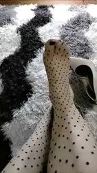 深夜舔脚