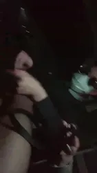 户外车内玩狗 一