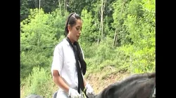 《和谐的年轻妓女骑术学校》第6幕