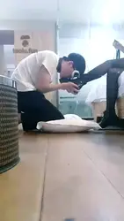 小孩学生狗狗 初调不懂规矩