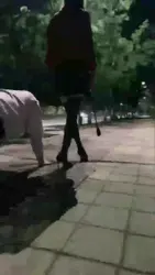 户外虐狗 提档舔鞋 完整版