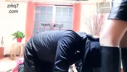 薇娅大小姐 四狗伺主 裙下之臣