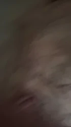 成都骚母狗联系我可包养