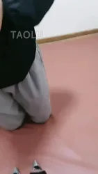 猫猫 女m猫猫调教梵高