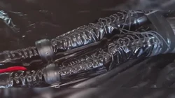 S到M的转变