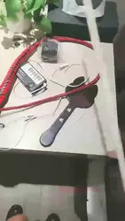 美主训双狗 上集