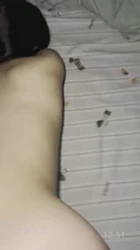 后入青岛肥臀母狗 暴力打桩