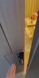 圣诞节分享妻子